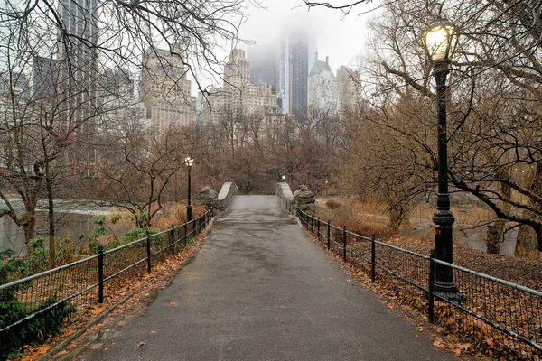 Kışın Yağmurlu Bir Günde Central Park Taki Gapstow Köprüsü — Stok fotoğraf