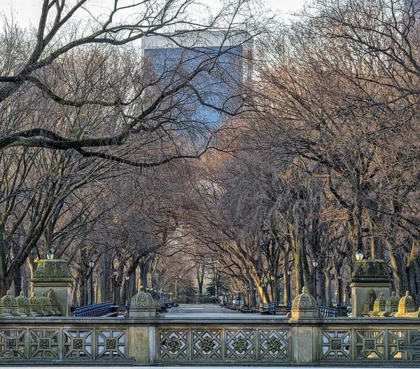 Central Park Winter Early Morning View Mall — Foto Stock
