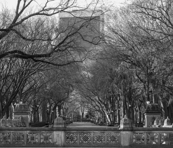 Mall Central Park New York City Winter — 图库照片