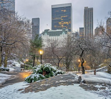 Kışın Central Park 'ta, sabahın erken saatlerinde Şubat ayında kar yağdıktan sonra