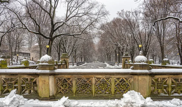Mall Central Park New York City Mogning Snowing — Zdjęcie stockowe
