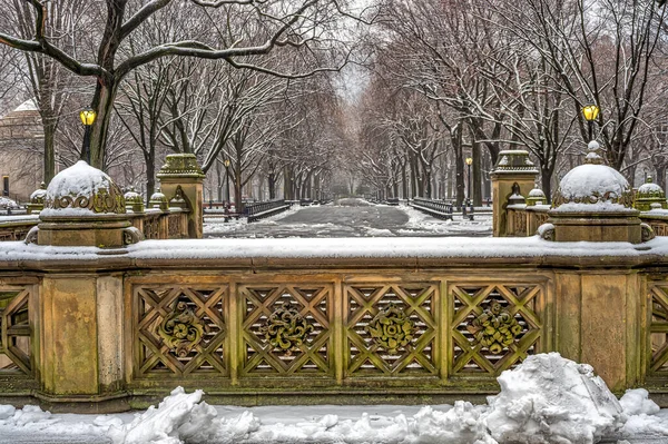 Mall Central Park New York City Mogning Snowing — Stockfoto