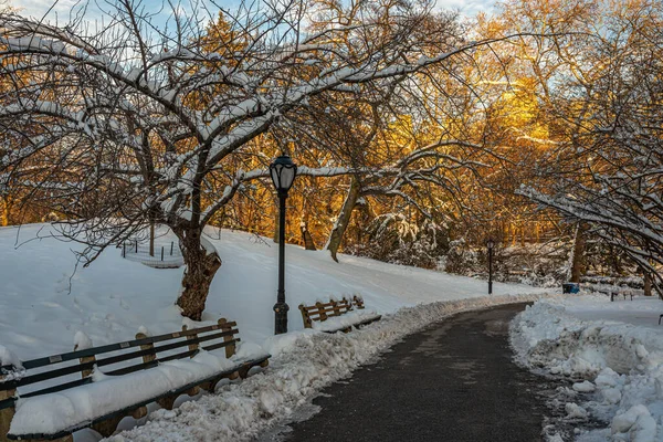 Central Park Zimě Velmi Časném Jaru Sněžení — Stock fotografie