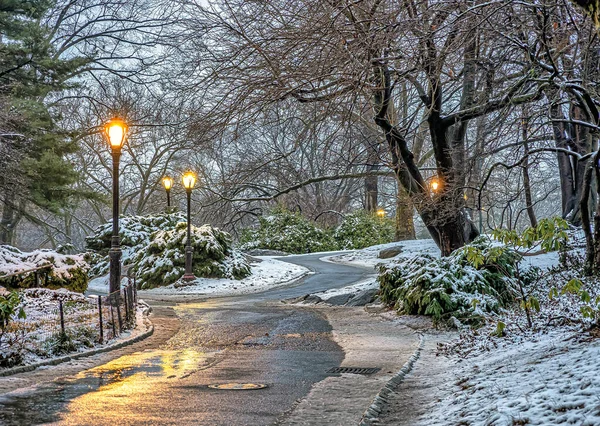 Central Park Winter Early Morning Snowing Late Febuary — Stok Foto