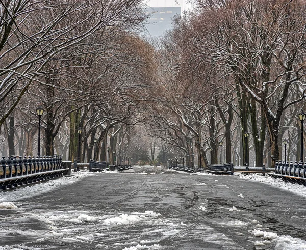 Mall Central Park New York City Mogning Snowing — Fotografia de Stock