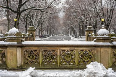 Central Park 'taki alışveriş merkezi, New York.