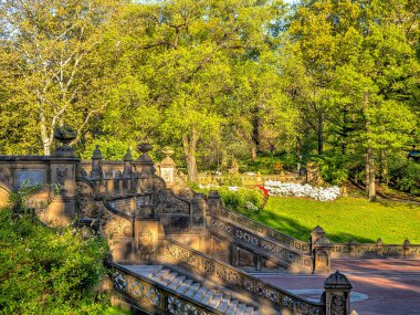 Bethesda Terrace ve Fountain, New York 'un Central Park' ındaki göle bakan iki mimari özelliktir..