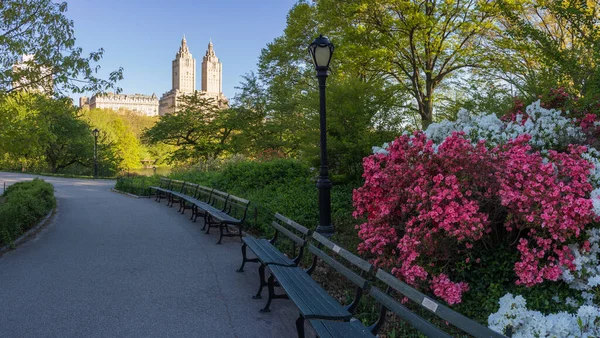 Primavera Central Park New York — Foto Stock