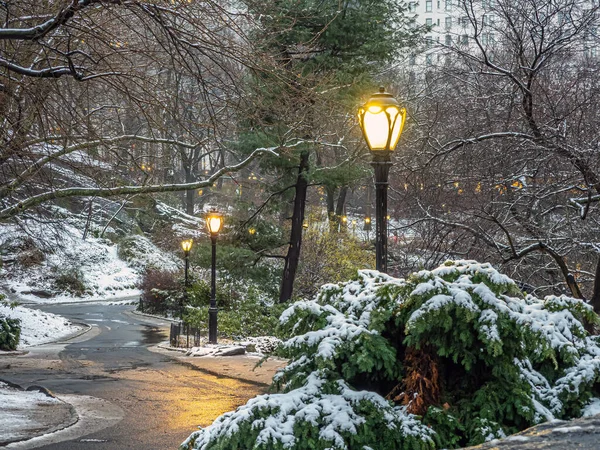 Central Park Winter — Stock Photo, Image