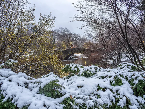 Ponte Gapstow Central Park — Fotografia de Stock