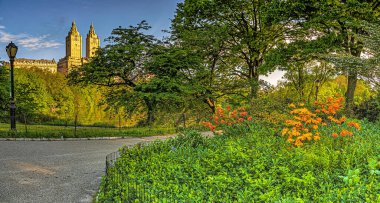 Baharda Central Park, New York City 'de baharın başlarında göle bakan batı yakasına bakan