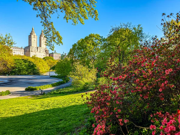 Весна Центральном Парке Нью Йорк Ранняя Весна Озера Выходящего Верхний — стоковое фото