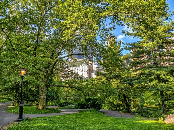 Primavera Central Park Nova Iorque — Fotografia de Stock