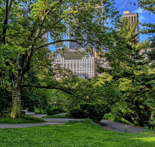 Frühling Central Park New York City — Stockfoto