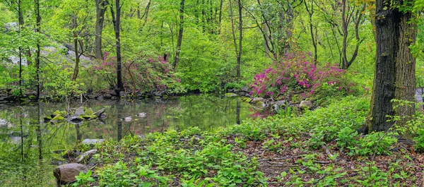 Primavera Central Park Nova Iorque Primavera Rambles — Fotografia de Stock