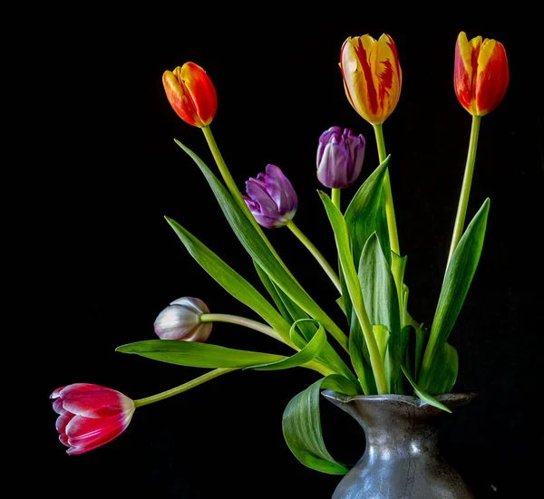 Tulipán Jaře Květu Černém Pozadí Váze — Stock fotografie