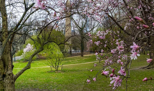 Voorjaar Central Park New York City — Stockfoto