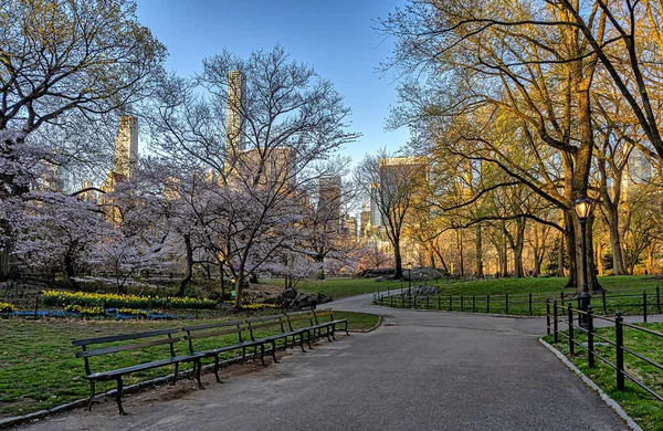 Wiosna Central Parku Nowy Jork — Zdjęcie stockowe