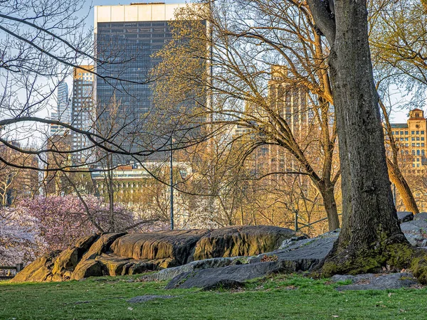 Άνοιξη Στο Central Park Νέα Υόρκη — Φωτογραφία Αρχείου