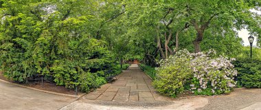 Konservatuar Bahçesi, Central Park 'ın kuzeydoğu köşesinde bulunan resmi bir bahçedir.