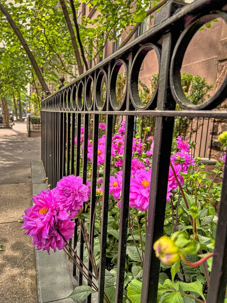 Widok Upper East Side Manhattan Przez Central Park — Zdjęcie stockowe