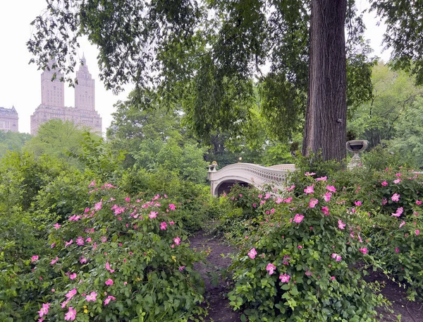 Pruva Köprüsü Central Park New York Baharın Sonlarında Sisli Bir — Stok fotoğraf