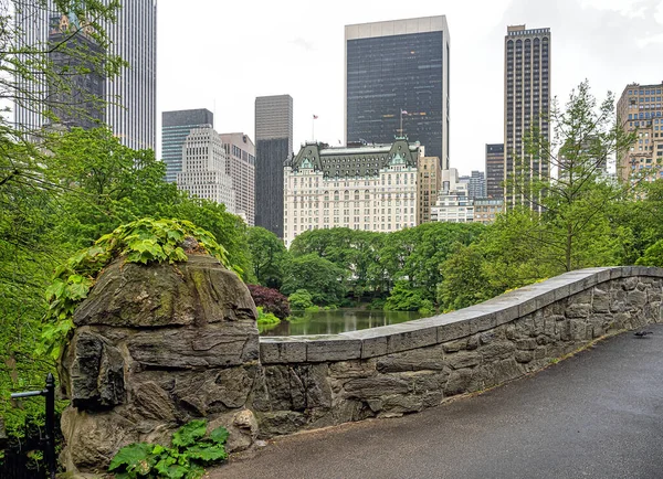 Sisli Bir Günde Baharda Central Park Taki Gapstow Köprüsü — Stok fotoğraf