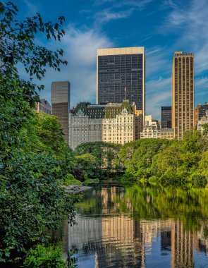 Central Park 'ın kıyısındaki Plaza Oteli, New York