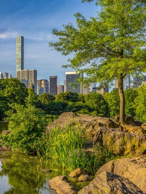 Central Park 'taki gölde, New York City, Manhattan