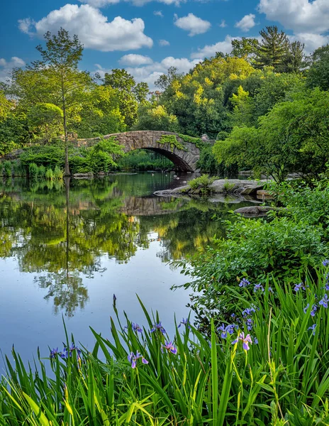 Ponte Gapstow Central Park Tarda Primavera Del Mattino Presto — Foto Stock