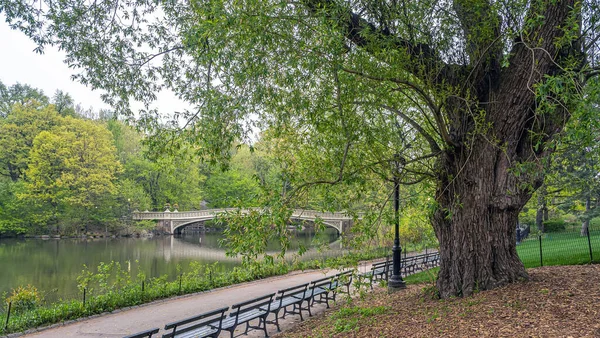 Bugbro Central Park New York City Slutet Våren — Stockfoto
