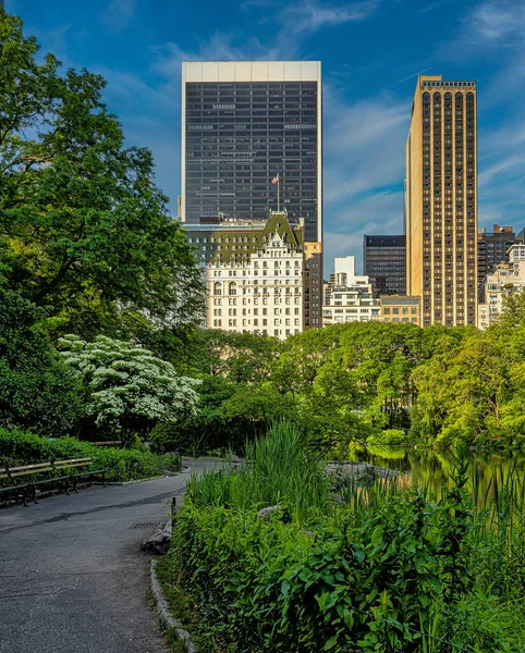 Central Park Kıyısındaki Plaza Oteli New York — Stok fotoğraf