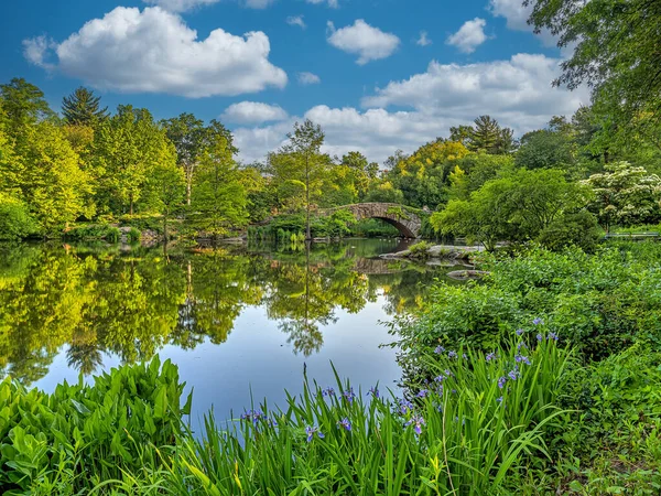 Puente Gapstow Central Park Finales Primavera Por Mañana Temprano — Foto de Stock