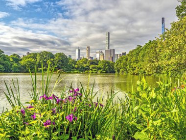 Central Park 'taki gölde, New York City, Manhattan