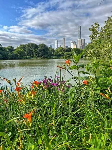 Central Park Taki Gölde New York City Manhattan — Stok fotoğraf
