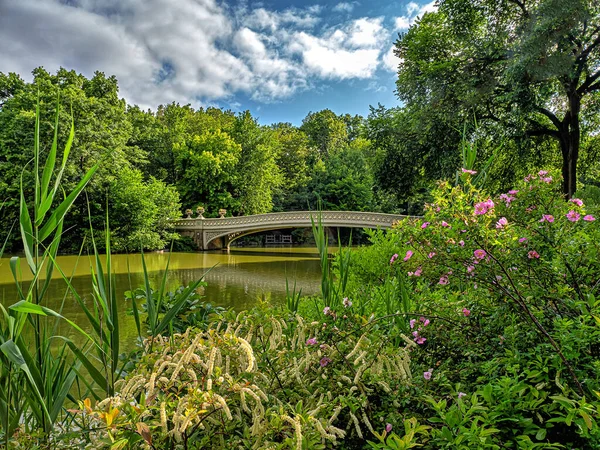 Боу Бридж Центральный Парк Нью Йорк Боу Бридж Поздней Весной — стоковое фото