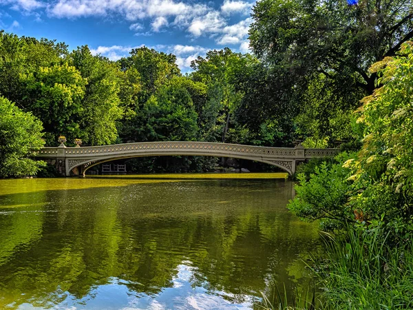 Bow bridge, Central Park, New York City,Bow bridge in late spring in the early morning