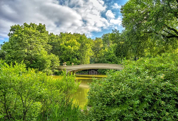 Most Łukowy Central Park Nowy Jork Most Łukowy Późną Wiosną — Zdjęcie stockowe