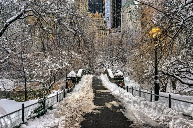 Sabahın erken saatlerindeki kar fırtınasından sonra Central Park 'taki Gapstow Köprüsü.