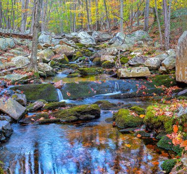 Harriman State Park, Rockland ve Orange ilçelerinde yer alıyor.,