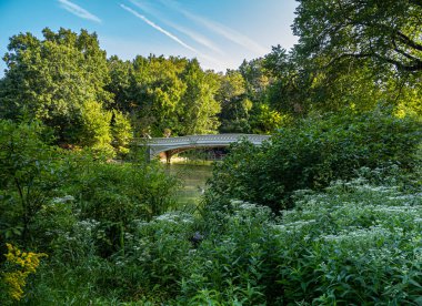 Pruva köprüsü, Central Park, New York