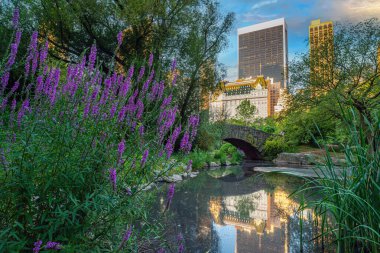 Central Park 'taki Gapstow Köprüsü Yazın erken saatlerinde