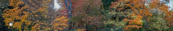 Central Park Sonbaharda New York — Stok fotoğraf