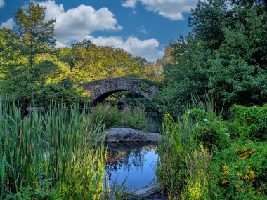 Central Park 'taki Gapstow Köprüsü Yazın sonlarında, sabahın erken saatlerinde 