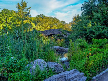 Central Park 'taki Gapstow Köprüsü Yazın sonlarında, sabahın erken saatlerinde 