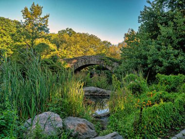Central Park 'taki Gapstow Köprüsü Yazın sonlarında, sabahın erken saatlerinde 