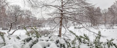 Central Park 'ta kışın kar fırtınasından sonra gölde 