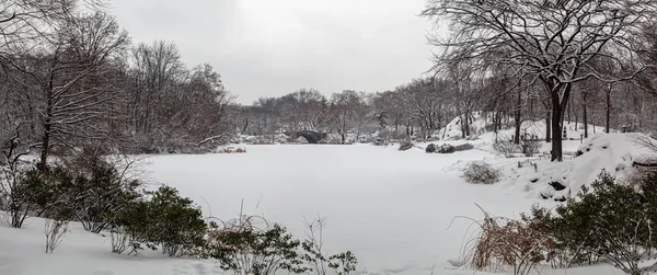 Ponte Gapstow Central Park Inverno Após Tempestade Porca Panorâmica — Fotografia de Stock