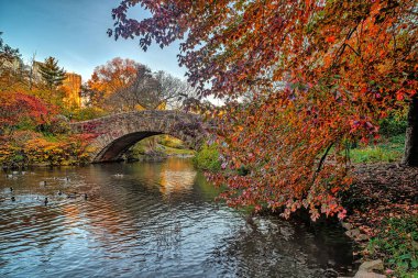 Central Park 'taki Gapstow Köprüsü 