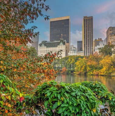 Central Park 'taki gölde, New York City, Manhattan